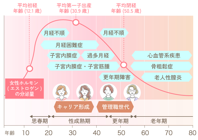 女性ホルモンの分泌量の推移